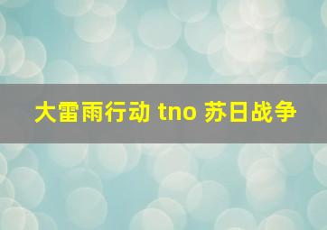 大雷雨行动 tno 苏日战争